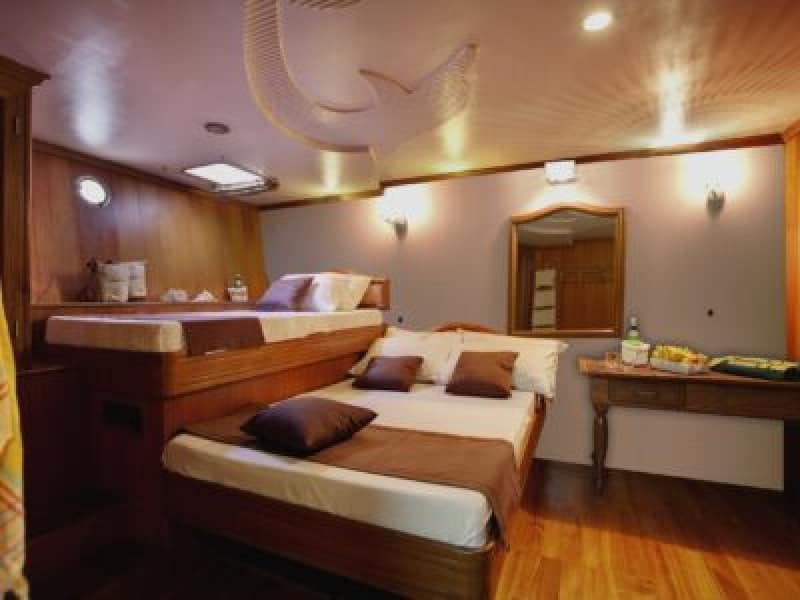 Lower Deck Single Cabin (#4)